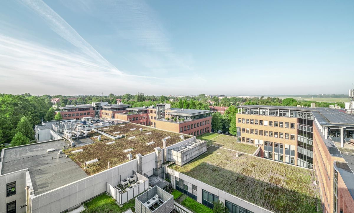 Vogelperspektive_Auschnitt